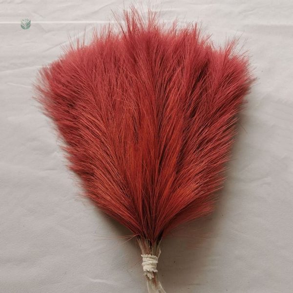 Pampa Déco - Simplicité et beauté en décoration intérieure