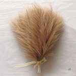 Pampa Artificielle - Accent moderne pour votre salon