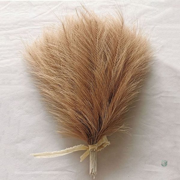Pampa Artificielle - Accent moderne pour votre salon