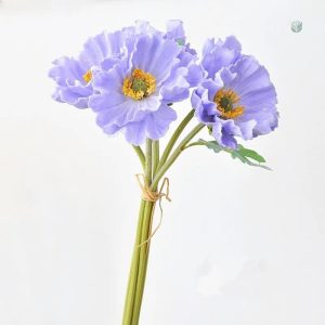 Pavots colorés pour une touche florale durable