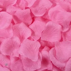 Pétales de roses - décoration florale