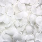 Roses en tissu - 300 pétales colorés