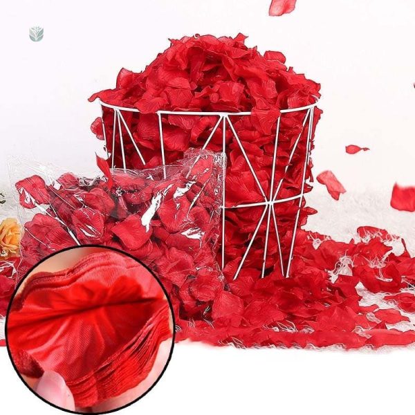 Accessoires floraux - 300 pétales de roses
