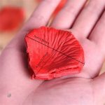 Décoration avec pétales de roses - 300 unités