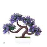 Mini Bonsaï décoratif, plante d'intérieur