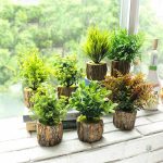 Petite Fausse Plante verte décorative pour intérieur