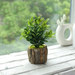 Faux succulent pour ajouter une touche naturelle à la déco