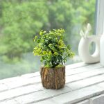 Fausse plante pour une ambiance chaleureuse et accueillante