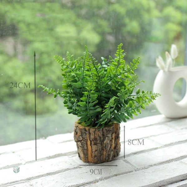Petite plante décorative, solution pratique pour un espace vivant