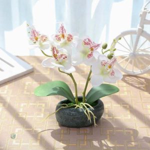 Mini orchidée synthétique, touche d'élégance pour votre maison