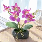 Faux orchidée, parfaite pour un cadeau ou une décoration de table