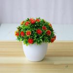 Plante en pot, idéale pour intérieur et bureau