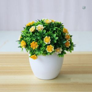 Petite plante en pot, touche naturelle pour la maison