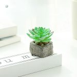 Plante succulente artificielle pour intérieur