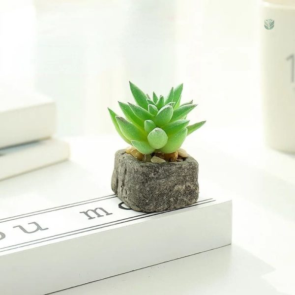 Plante grasse artificielle en pot