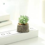 Détails d'une petite plante succulente artificielle