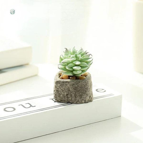Détails d'une petite plante succulente artificielle