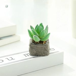 Succulente artificielle pour décoration intérieure