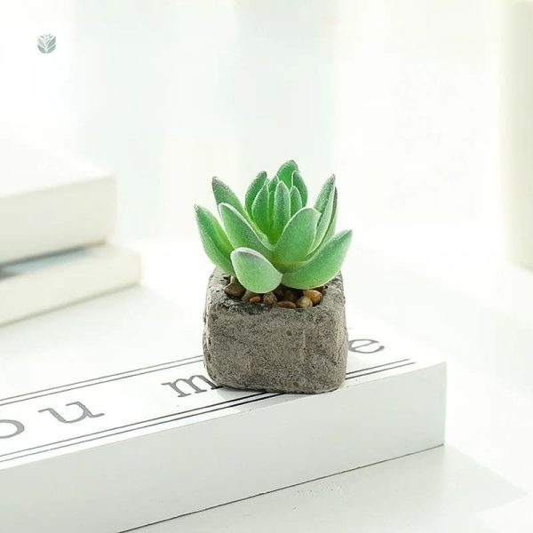 Succulente artificielle pour décoration intérieure