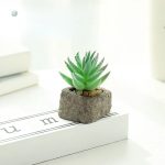 Plante artificielle grasse idéale pour la maison