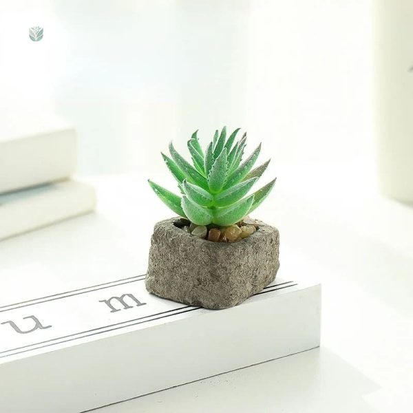 Plante artificielle grasse idéale pour la maison