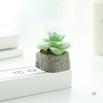 Élégante plante grasse artificielle pour bureau