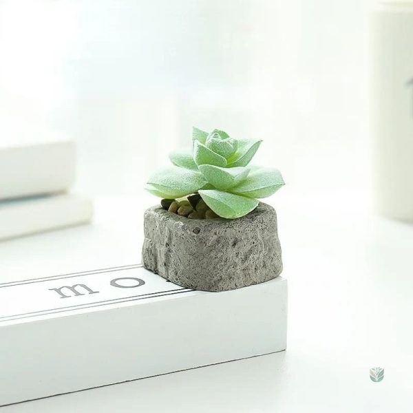 Élégante plante grasse artificielle pour bureau