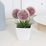 Fleurs en pot pour une touche de verdure intérieure