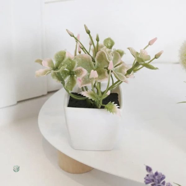 Pot avec petites fleurs pour un décor moderne