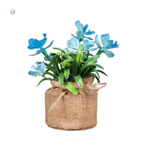 Cultivez l'élégance avec ces petites fleurs en pot