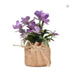 Fleurs décoratives artificielles dans des pots stylés
