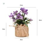 Petites fleurs en pot pour un look naturel sans entretien