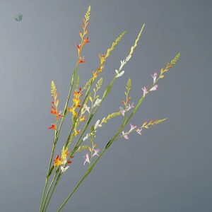 Variété de petites fleurs séchées pour décoration intérieure