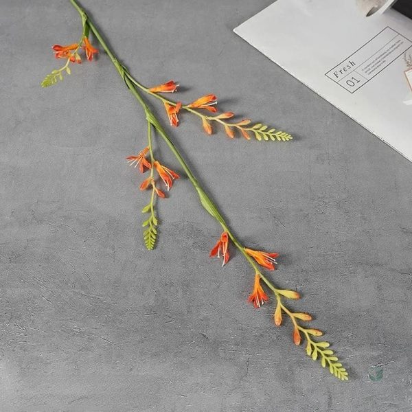 Fleurs séchées colorées en arrangement naturel