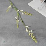 Composition florale de petites fleurs séchées