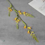 Petites fleurs séchées pour un style champêtre