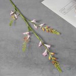 Fleurs séchées en pot pour embellir votre espace