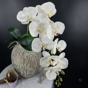 Phalaenopsis Grosse Fleur en fleurs artificielles