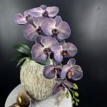 Fleurs artificielles Phalaenopsis, style élégant et moderne