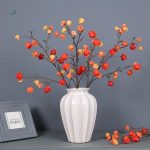 Physalis artificiel Alkekengi en fleurs décoratives