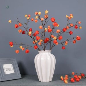 Physalis artificiel Alkekengi en fleurs décoratives