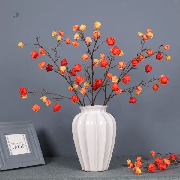 Physalis artificiel Alkekengi en fleurs décoratives