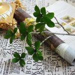Plante artificielle Pittosporum, idéale pour intérieur