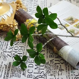 Plante artificielle Pittosporum, idéale pour intérieur