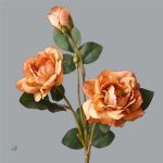 Pivoine haut de gamme, parfaite pour arrangements floraux