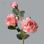 Pivoine décorative, idéale pour événements et occasions