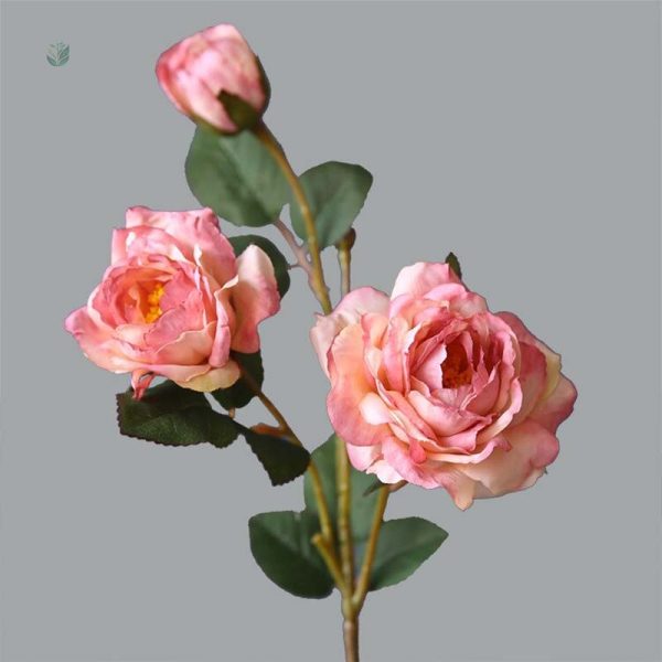 Pivoine décorative, idéale pour événements et occasions