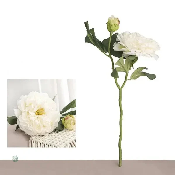 Pivoine décorative avec un look vintage raffiné