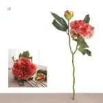 Pivoine Vintage, une touche florale classique