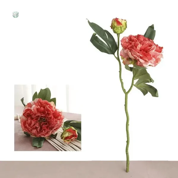 Pivoine Vintage, une touche florale classique